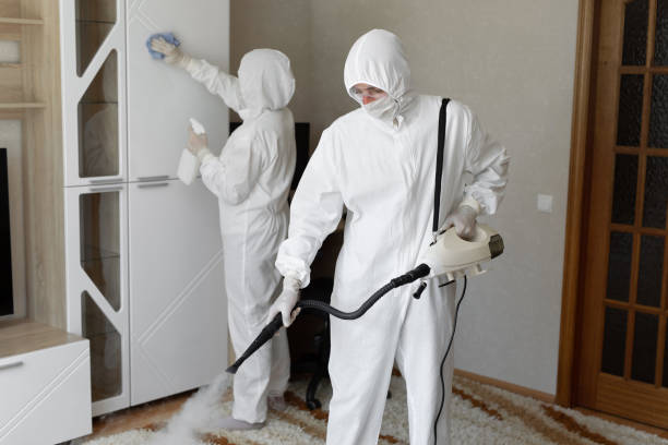 Certified Mold Removal in Foley, AL