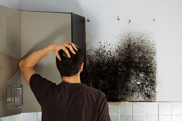 Best Office Mold Removal Services  in Foley, AL
